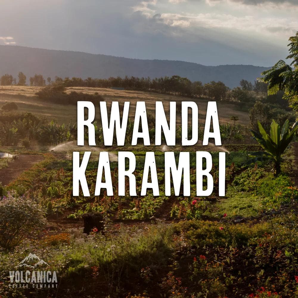 Image of Rwanda Coffee Kigeyo Bourbon