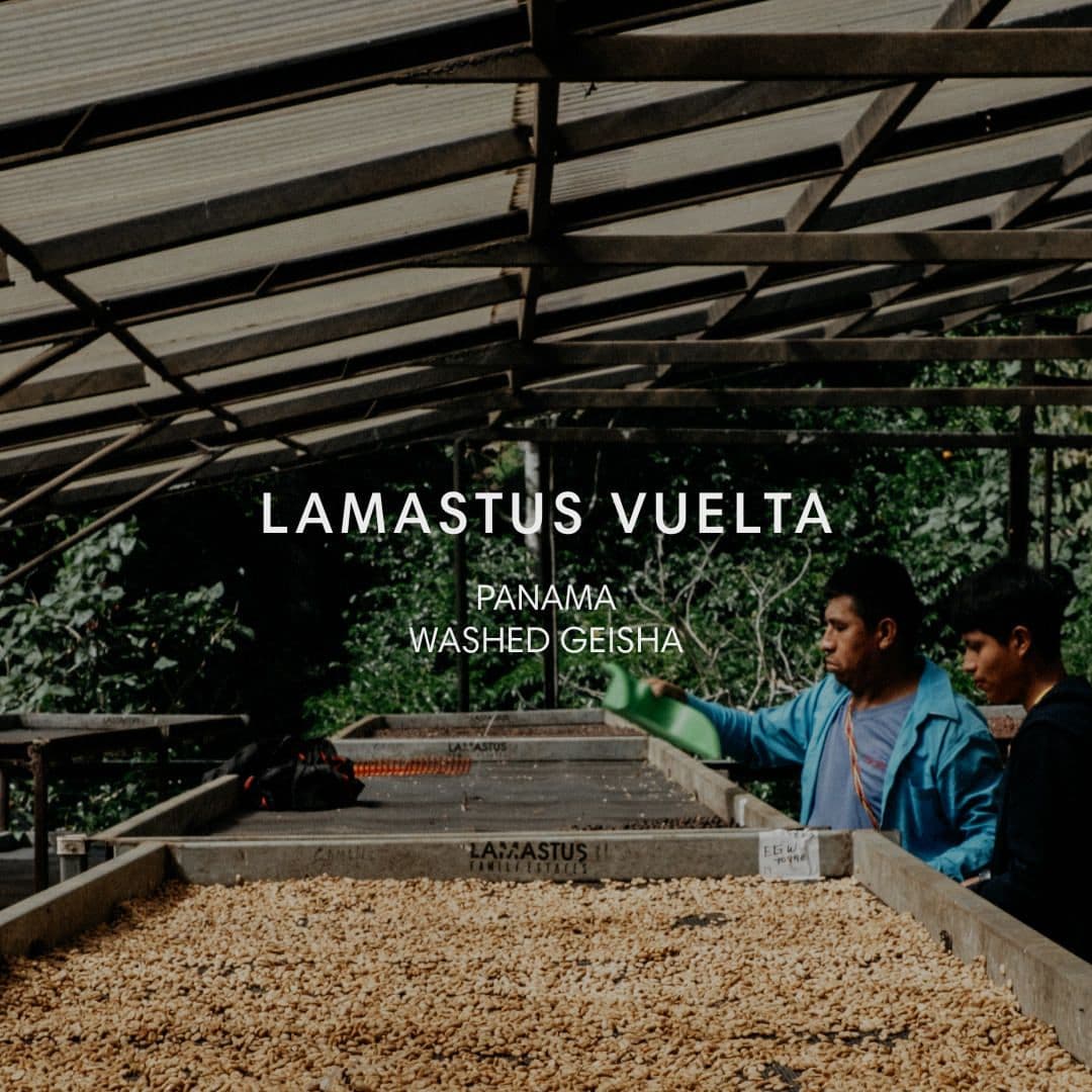 Image of Lamastus Vuelta