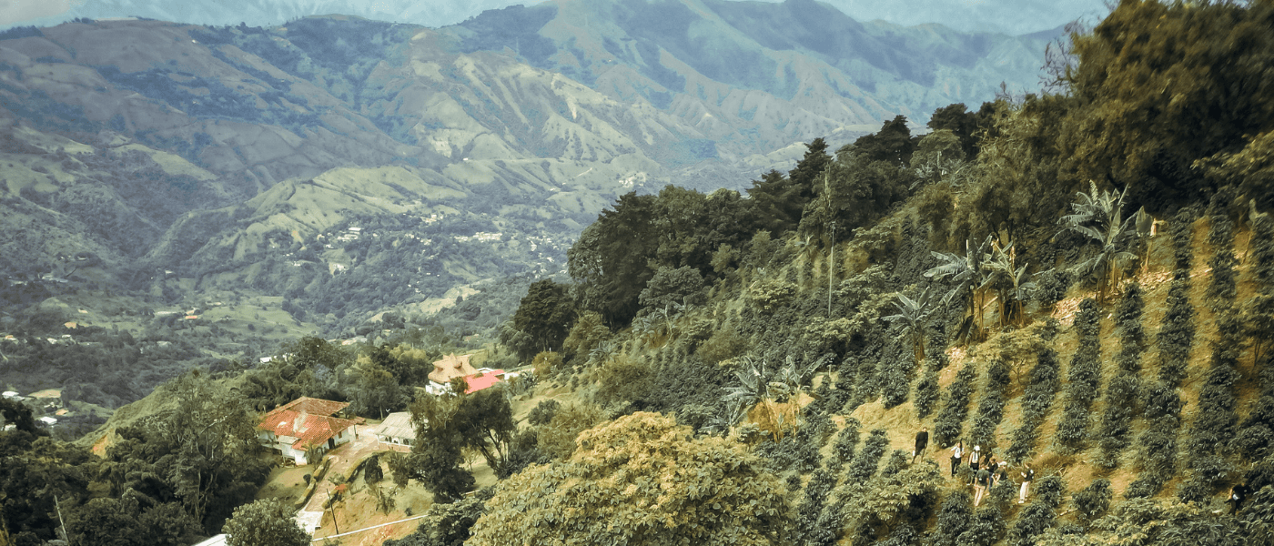 Image of Los Cedros - Ebéjico