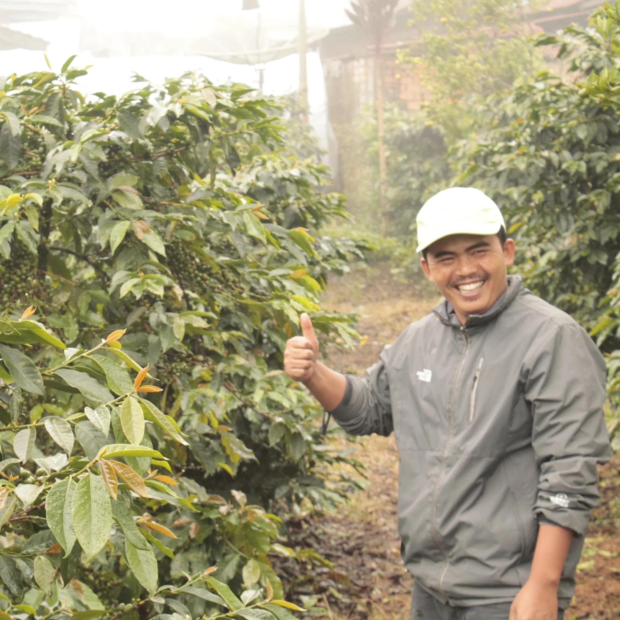 Image of Bersama Kerinci - Natural - Indonesia - Espresso - 2024