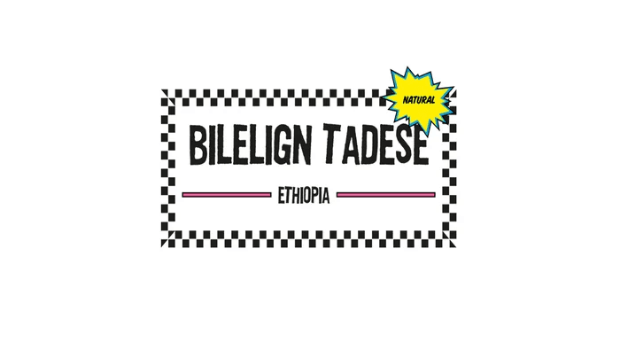 Image of Bilelign Tadese Ethiopia