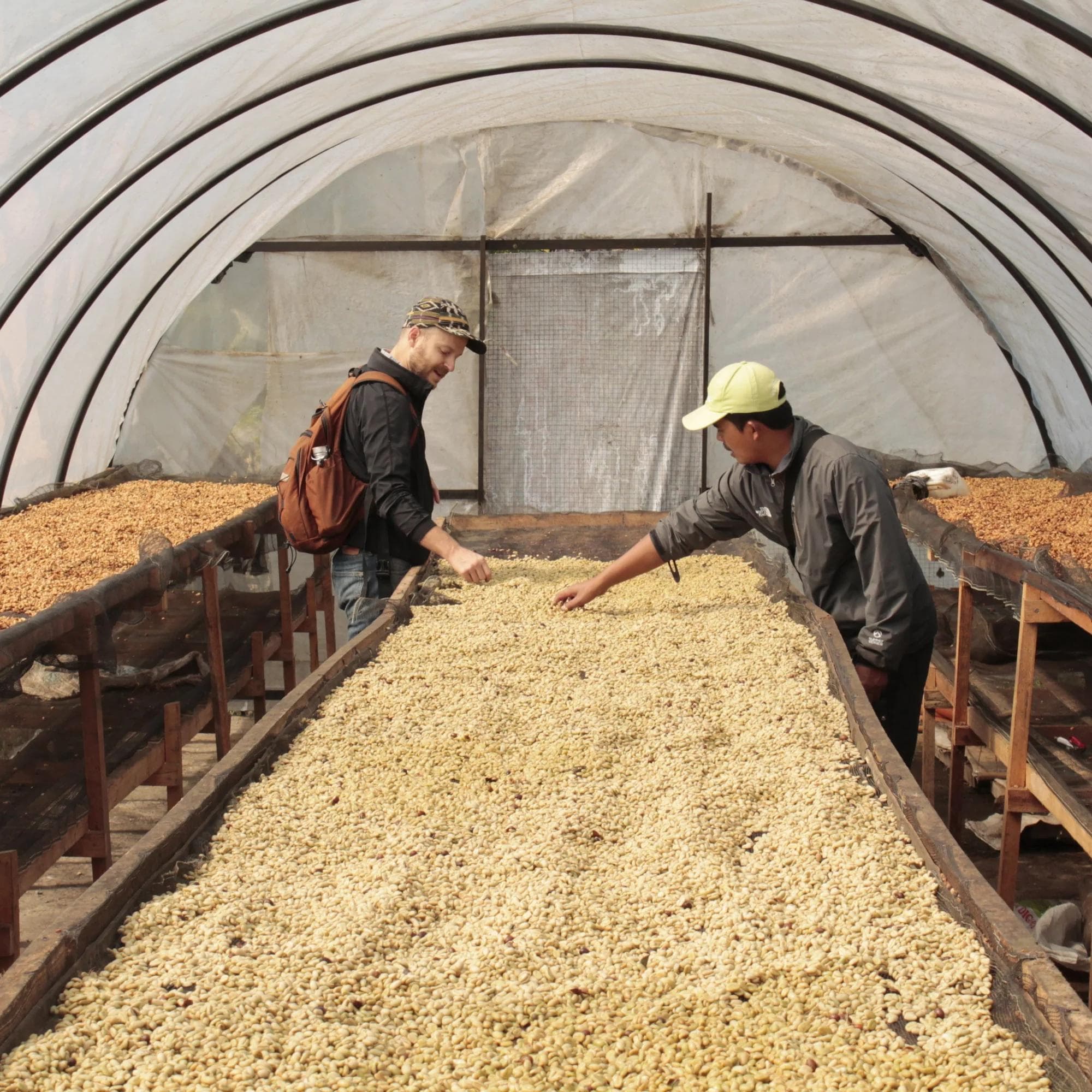 Image of Bersama Kerinci - Anaerobic Honey - Indonesia - 2024