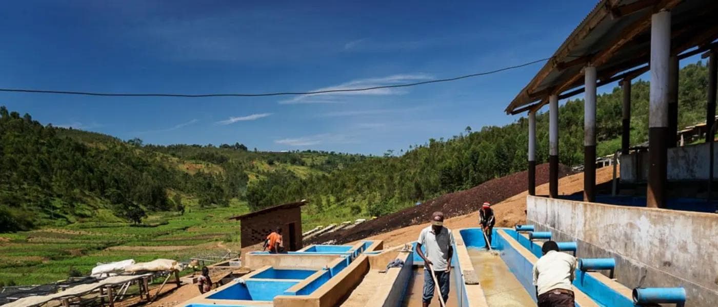 Image of Burundi Shembati Washing Station