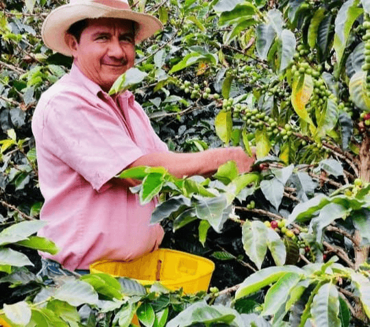 Image of Colombia - Rodrigo Oyuela