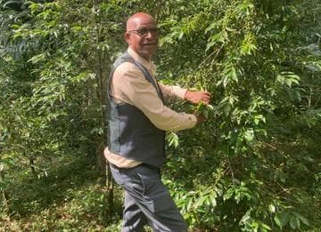 Image of Ethiopia Wush Wush Natural