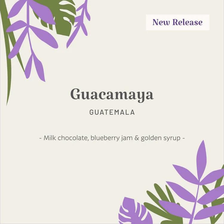 Image of Guatemala | Guacamaya