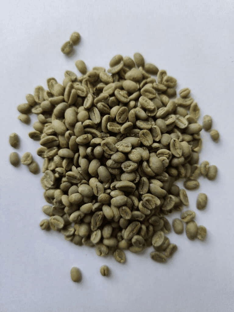 Image of Raw Coffee- Organic Ethiopia Shakisso