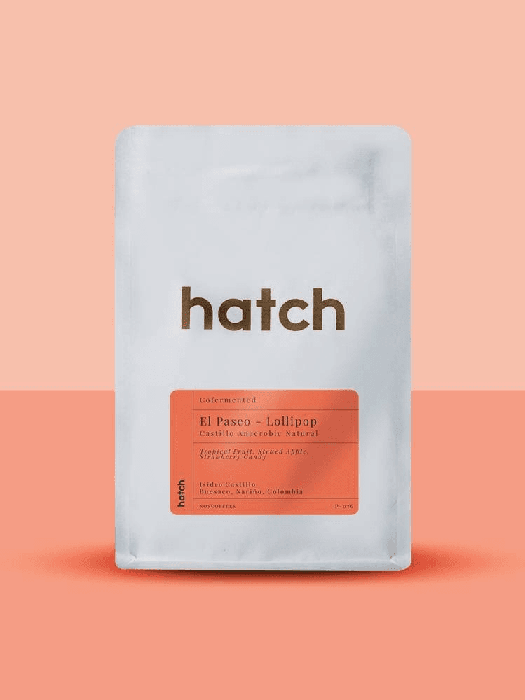 Image of El Paseo - Lollipop