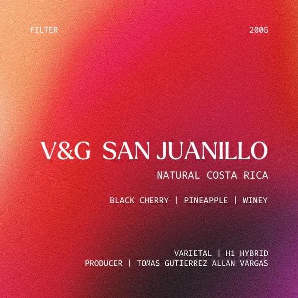 Image of Filter - V&G San Juanillo, Costa Rica