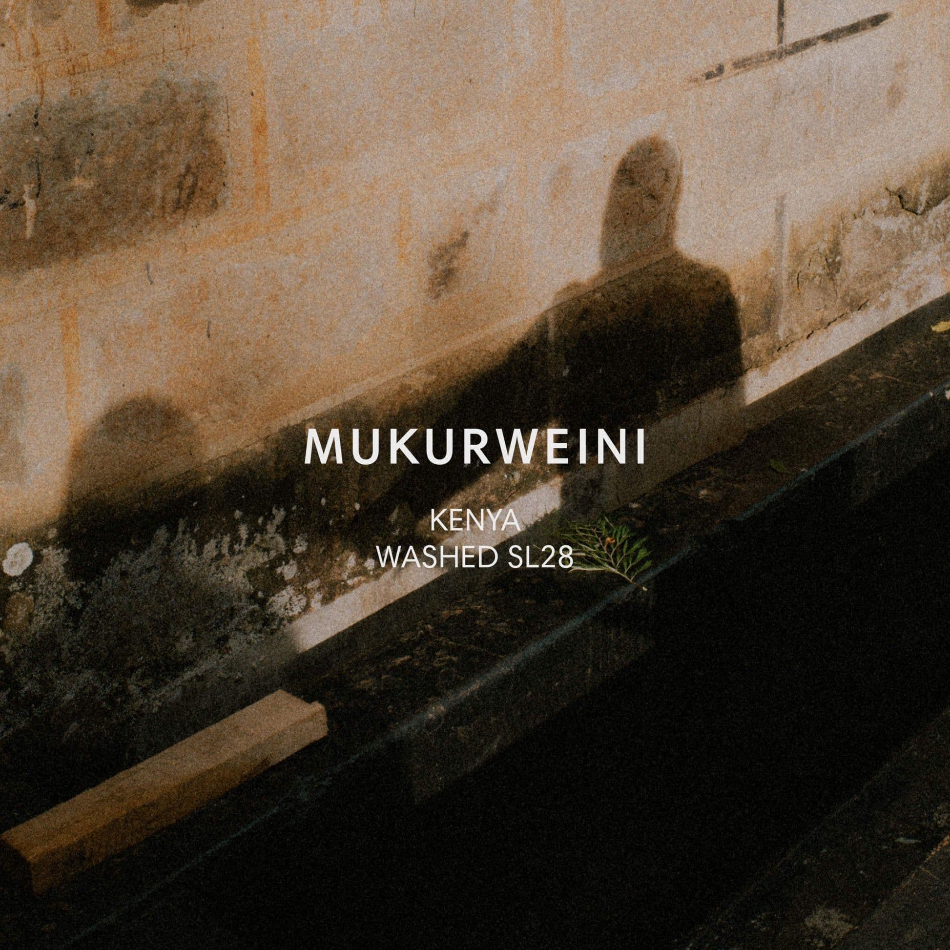 Image of Mukurweini Washed