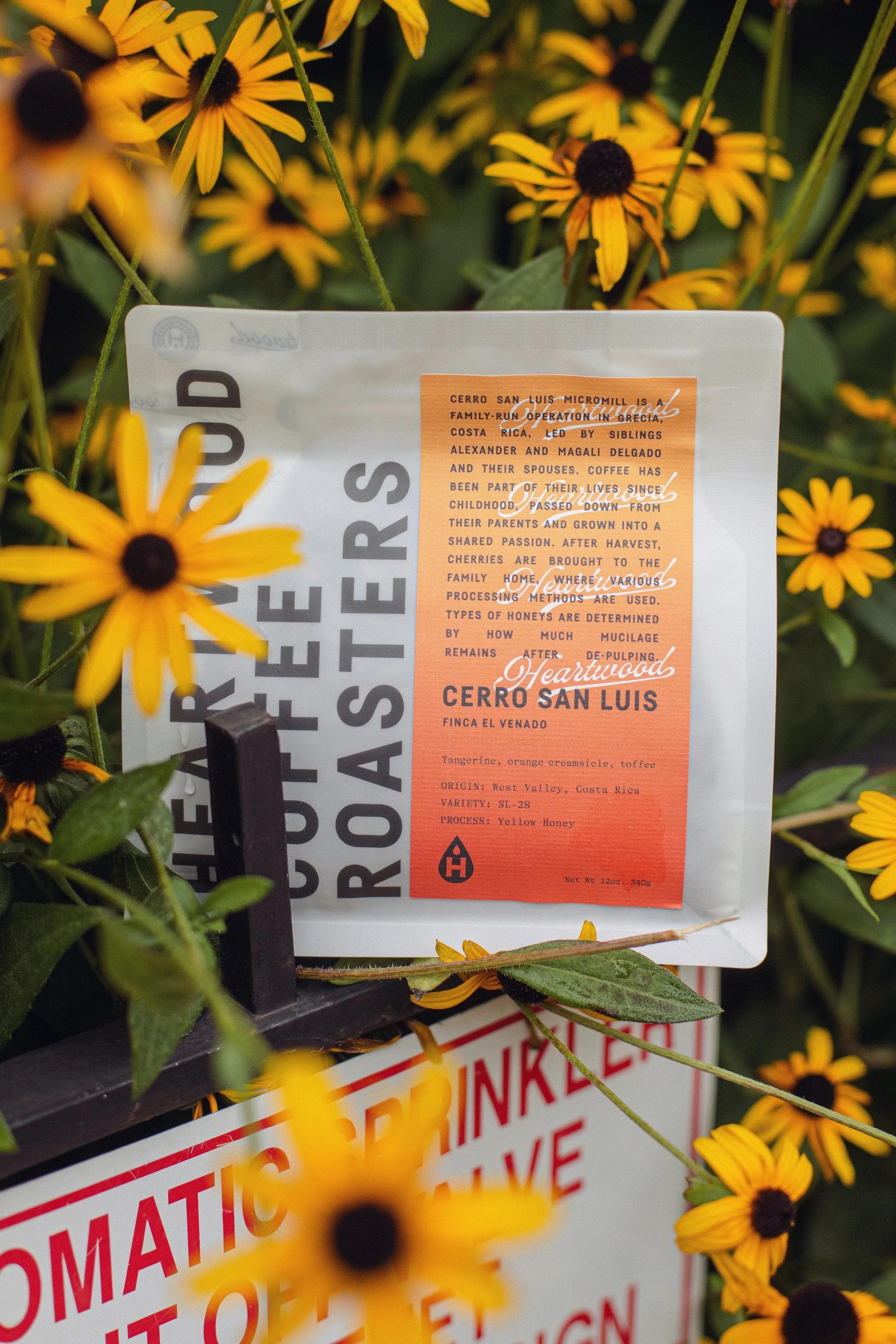 Image of Cerro San Luis Costa Rica