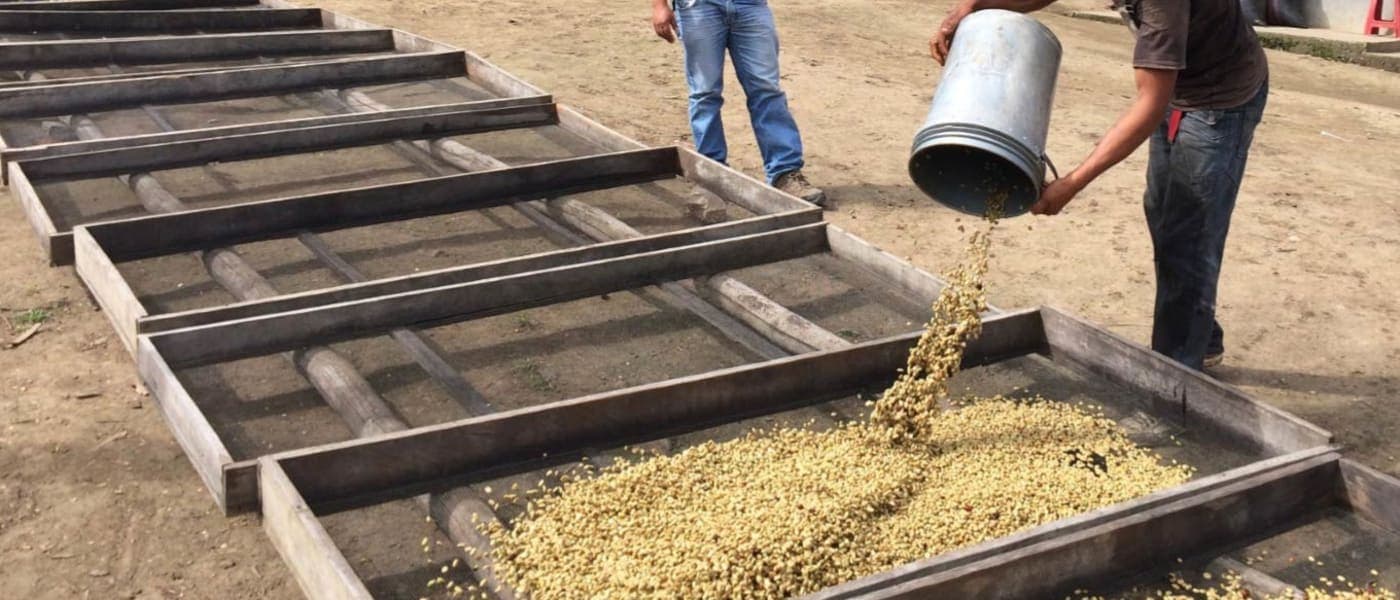 Image of Peru Confesor Ticillahuanca Finca Churupampa