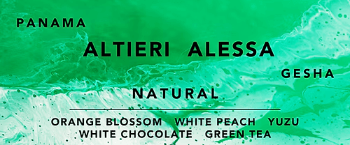 Image of Panama Altieri Alessa Gesha - Natural