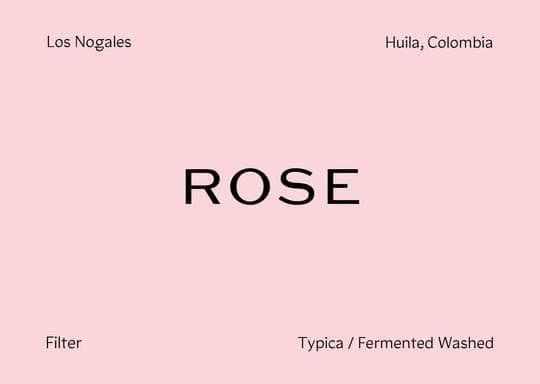 Image of Colombia - Los Nogales - Typica -Special Fermented Washed