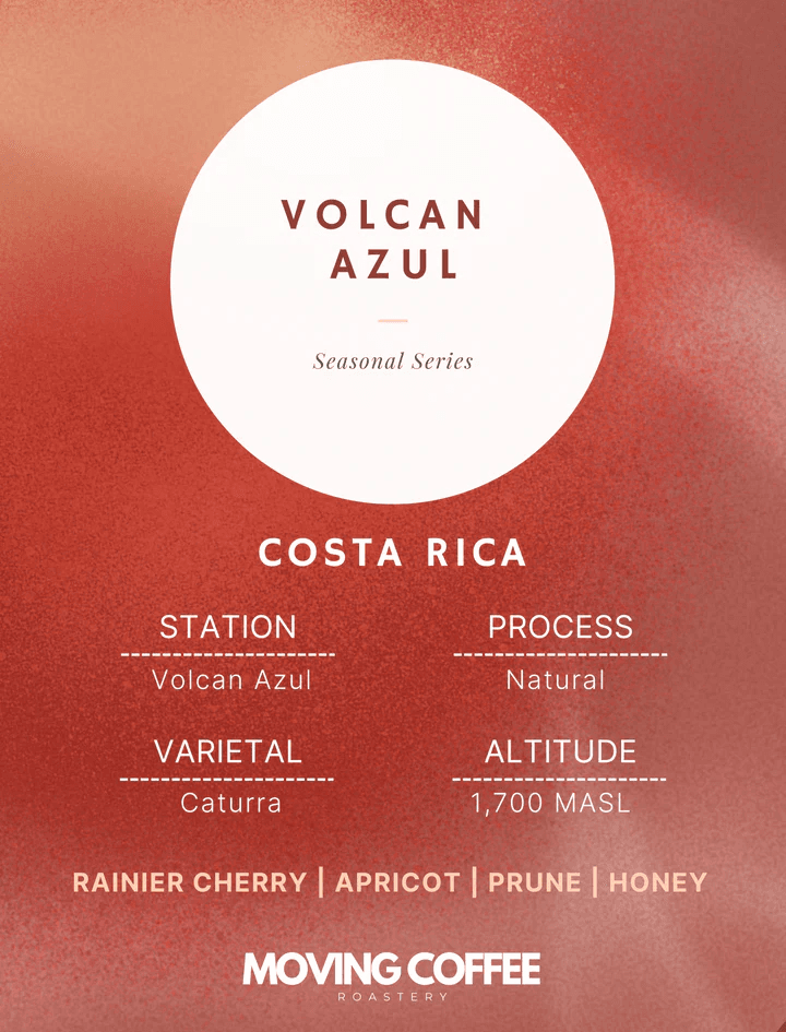 Image of Volcan Azul Caturra