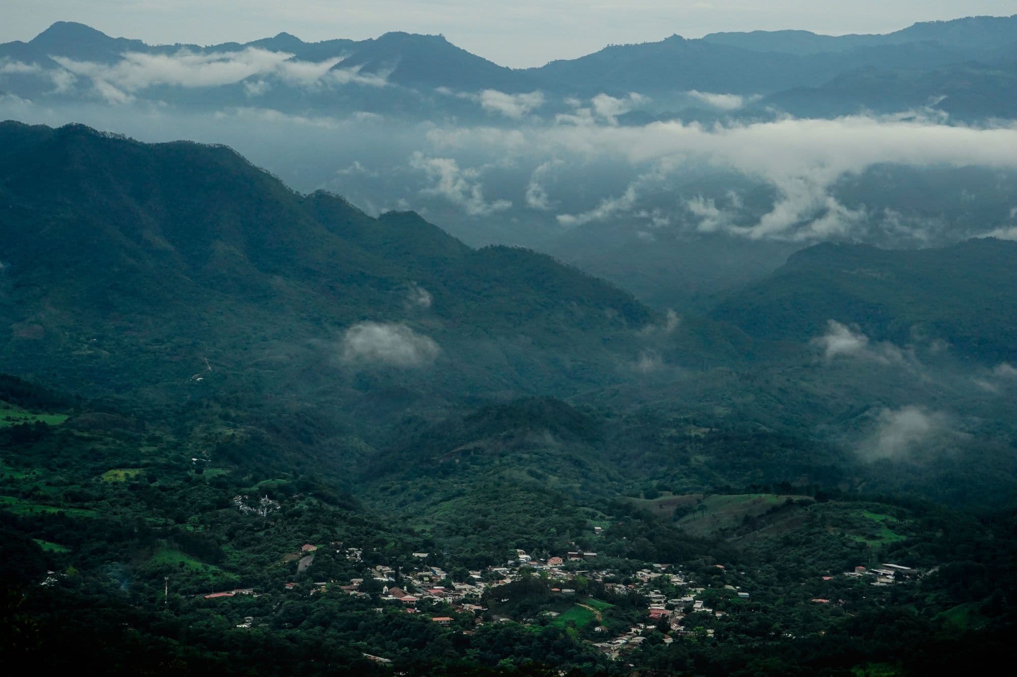 Image of Ecuador Fausto Romo Finca Carolina