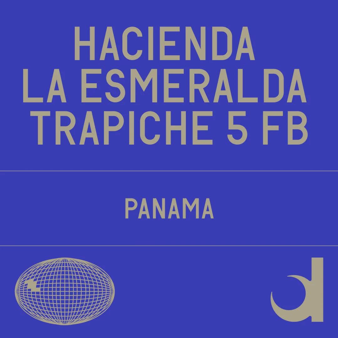 Image of Hacienda La Esmeralda Trapiche 5 Fb