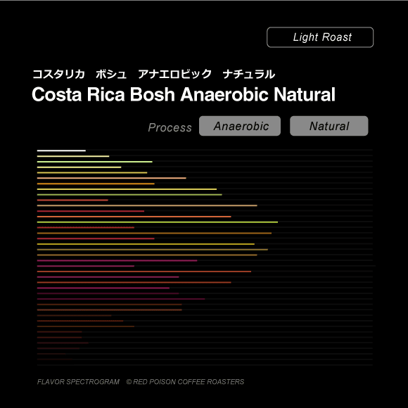 Image of Costa Rica Bosh Anaerobic Natural