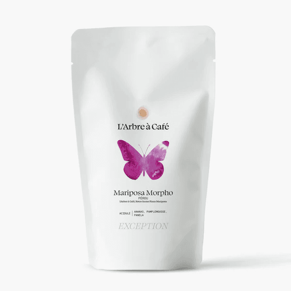 Image of Mariposa Morpho Peru