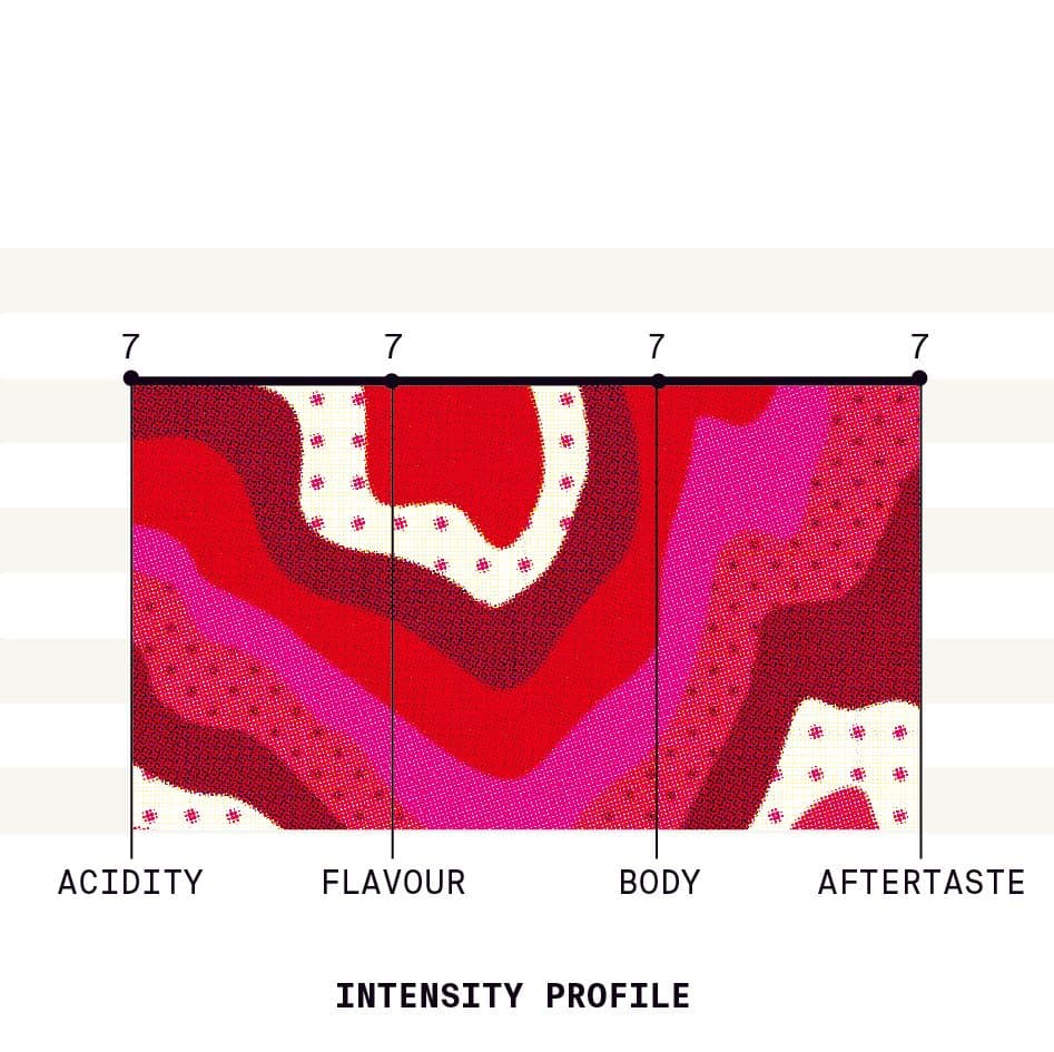 Image of Ecuador Hacienda Pillcocaja Typica Anaerobic