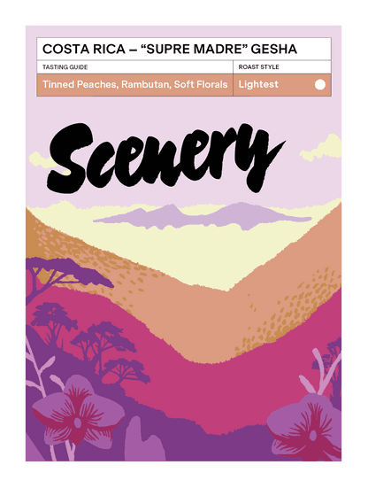 Image of Costa Rica - Don Senel Supre Madre Gesha