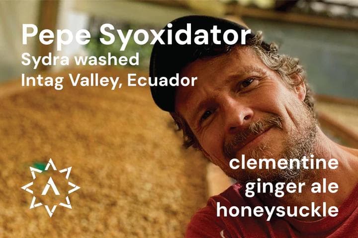 Image of Pepe Jijon Syoxidator