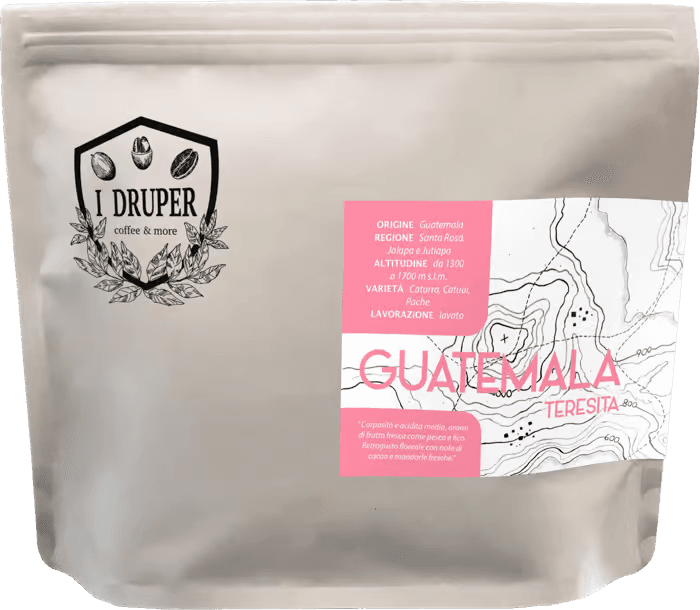 Image of Guatemala Teresa