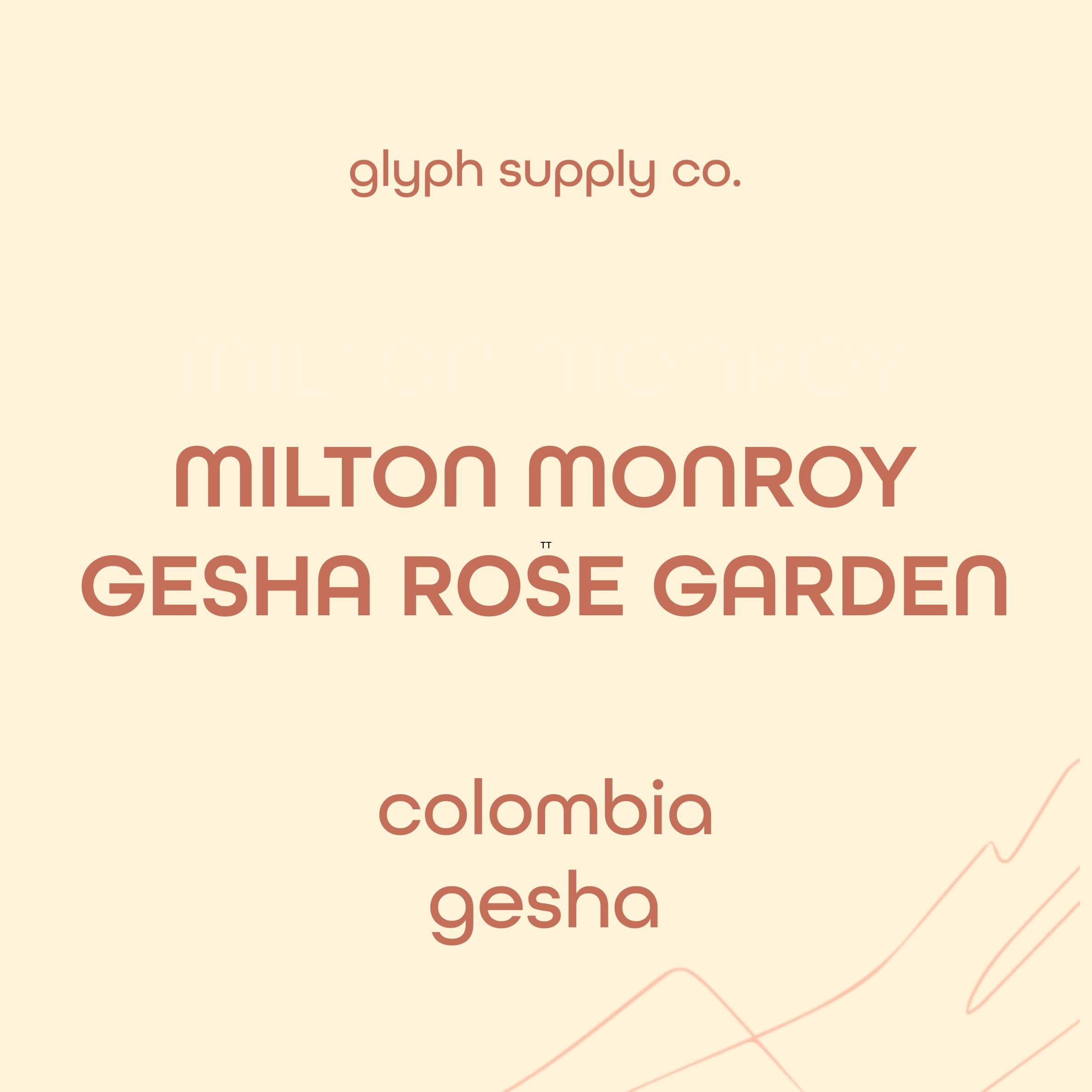 Image of Milton Monroy Gesha Rose Garden Colombia