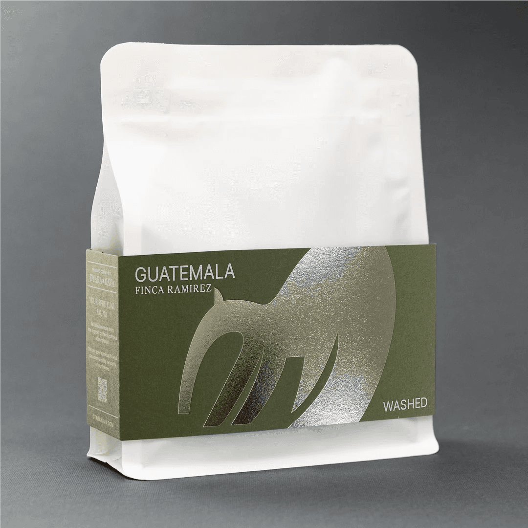 Image of Guatemala Familia Ramirez