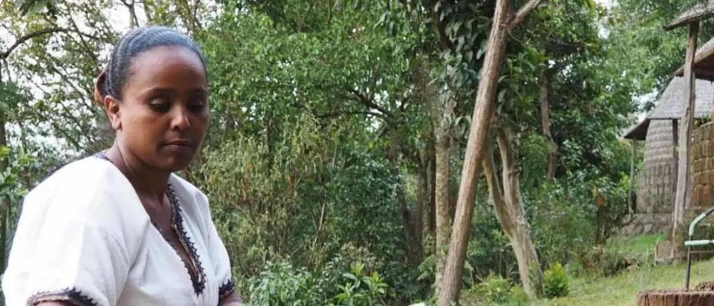 Image of Ethiopia Beriti