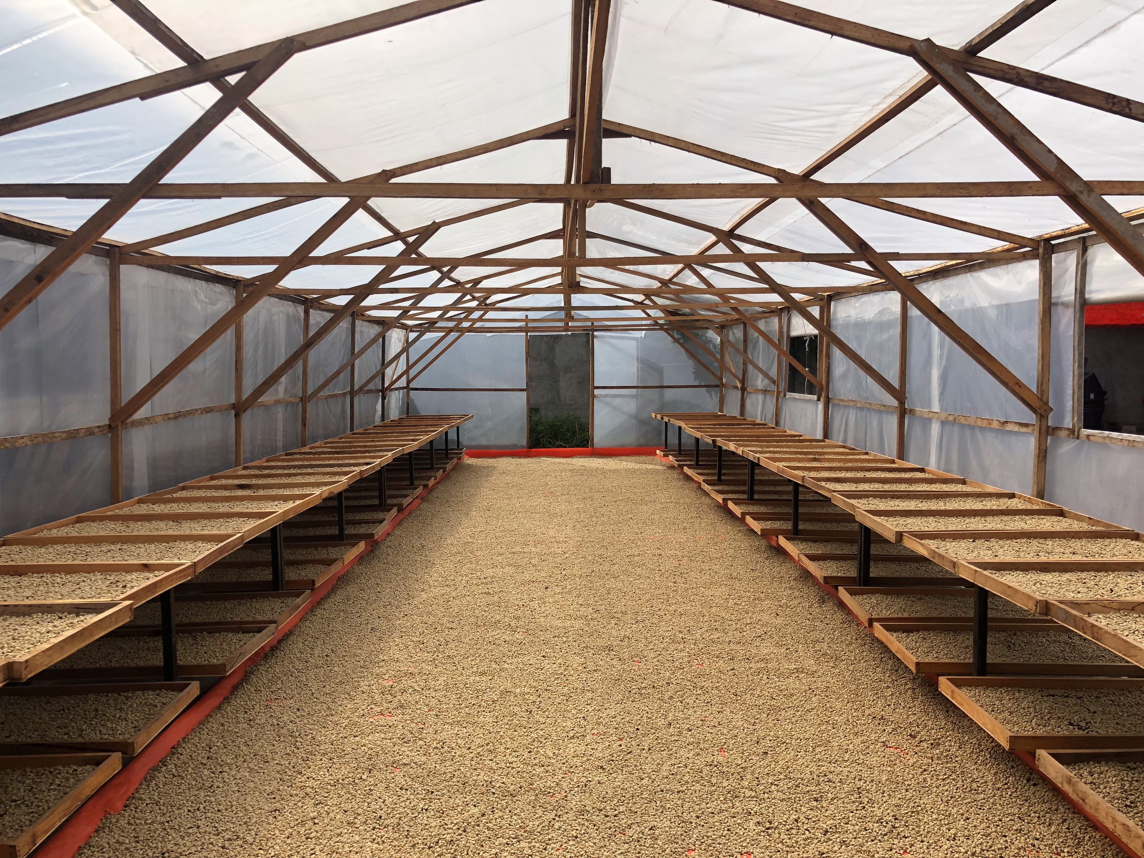 Image of Indonesia Putra Gayo Mill