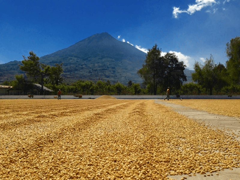 Image of Guatemala - Los Volcanes