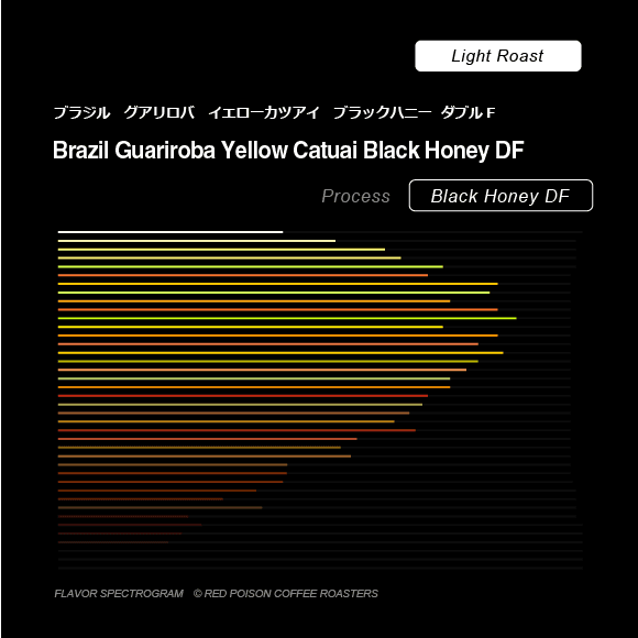 Image of Guariroba Yellow Catuai Black Honey DF