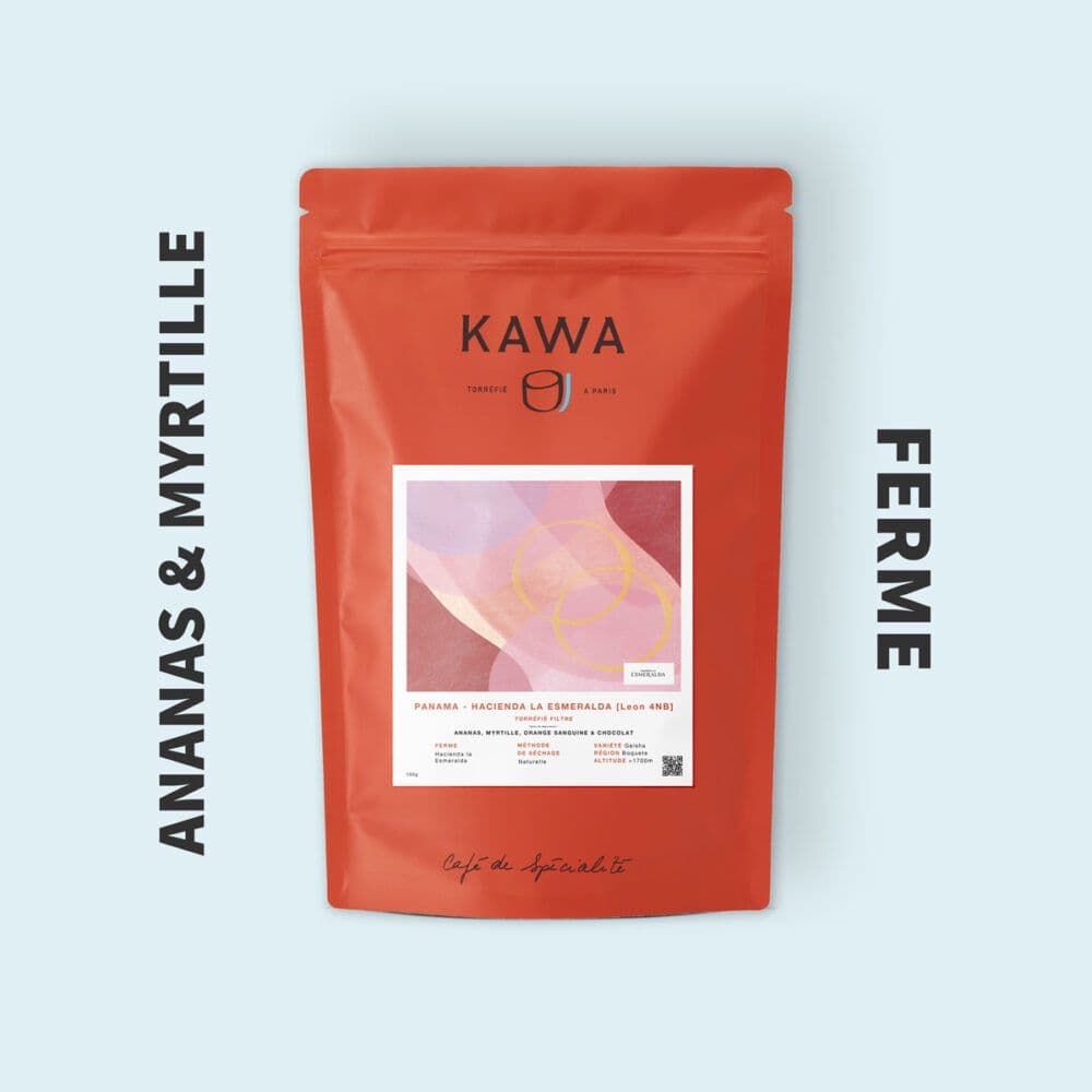 Image of Hacienda la Esmeralda Leon 4NB