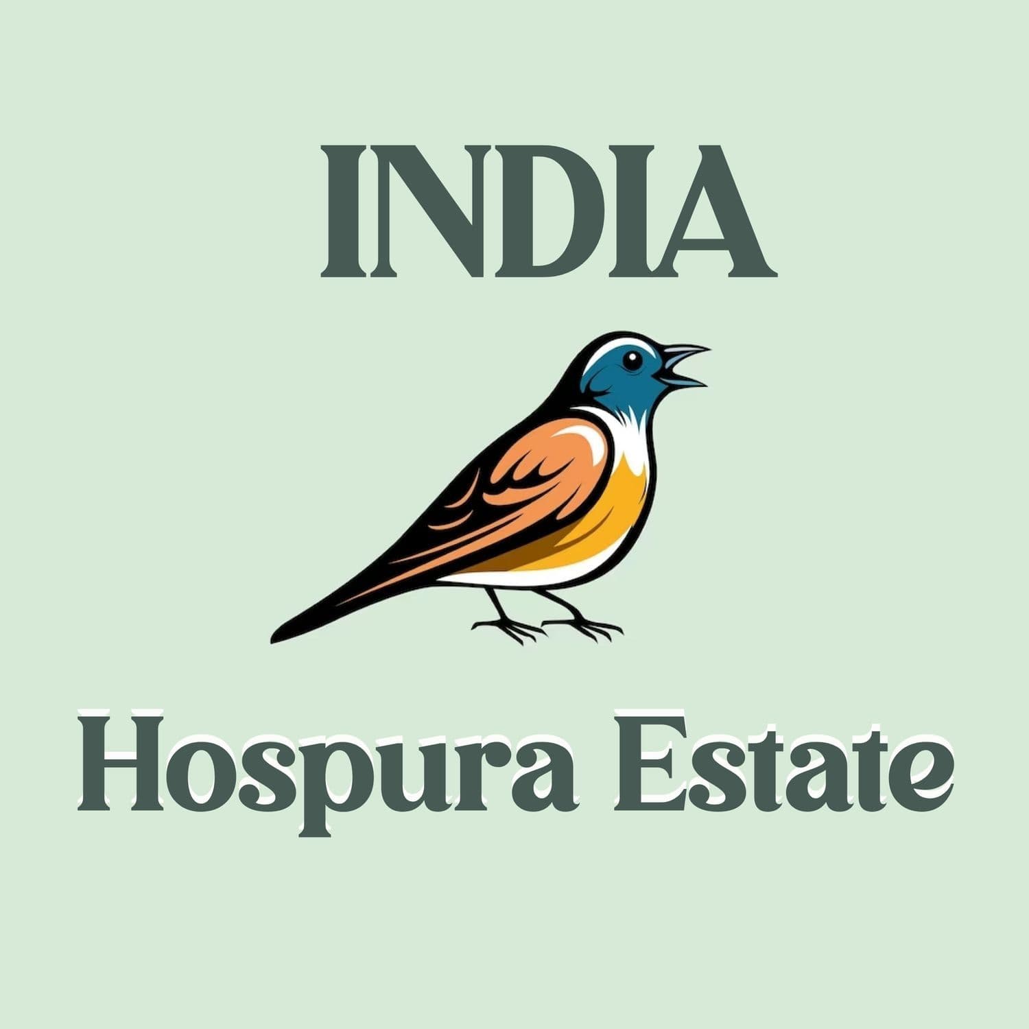 Image of India Hospura Estate