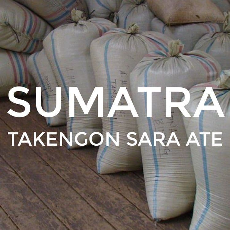 Image of Sumatra Takengon Sara Ate