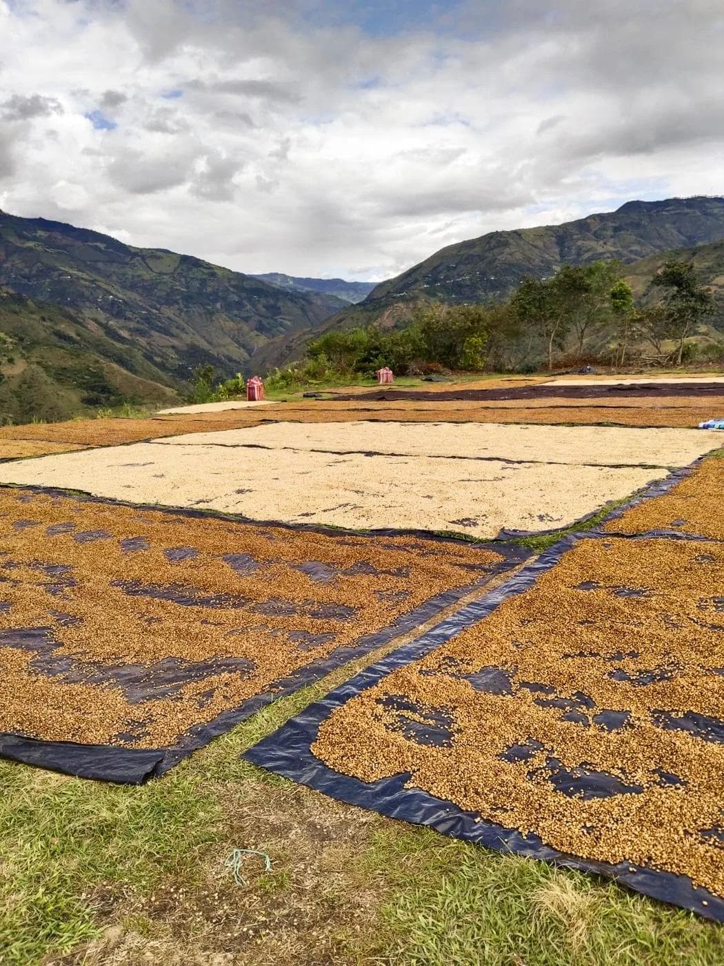 Image of Ethiopia - Laayyoo