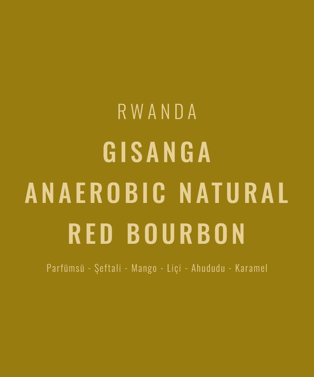 Image of Rwanda - Gisanga Anaerobic Natural