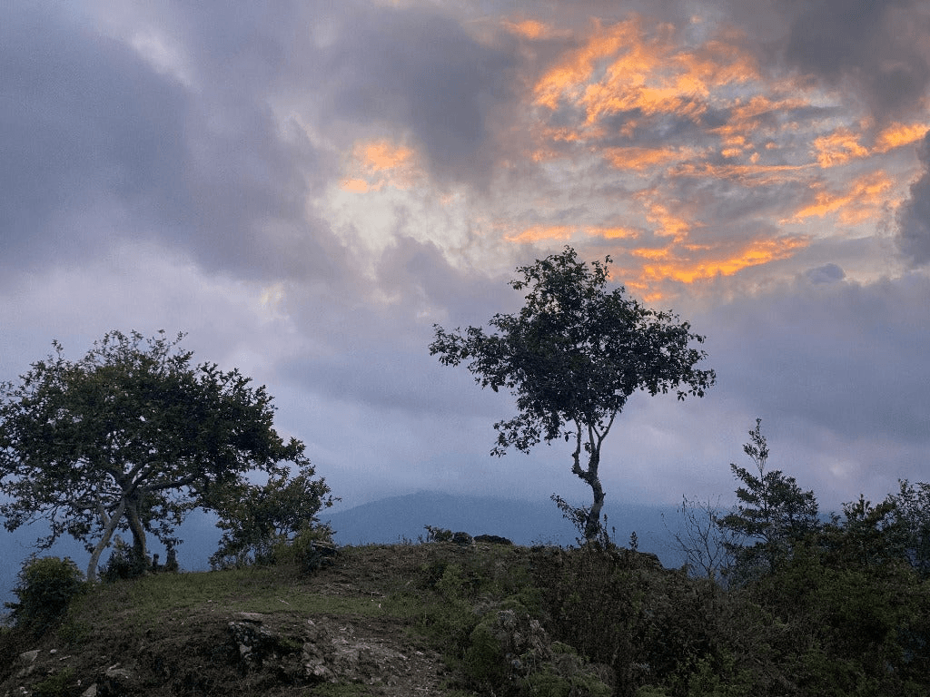 Image of Sierra Mazateca Lotecitos