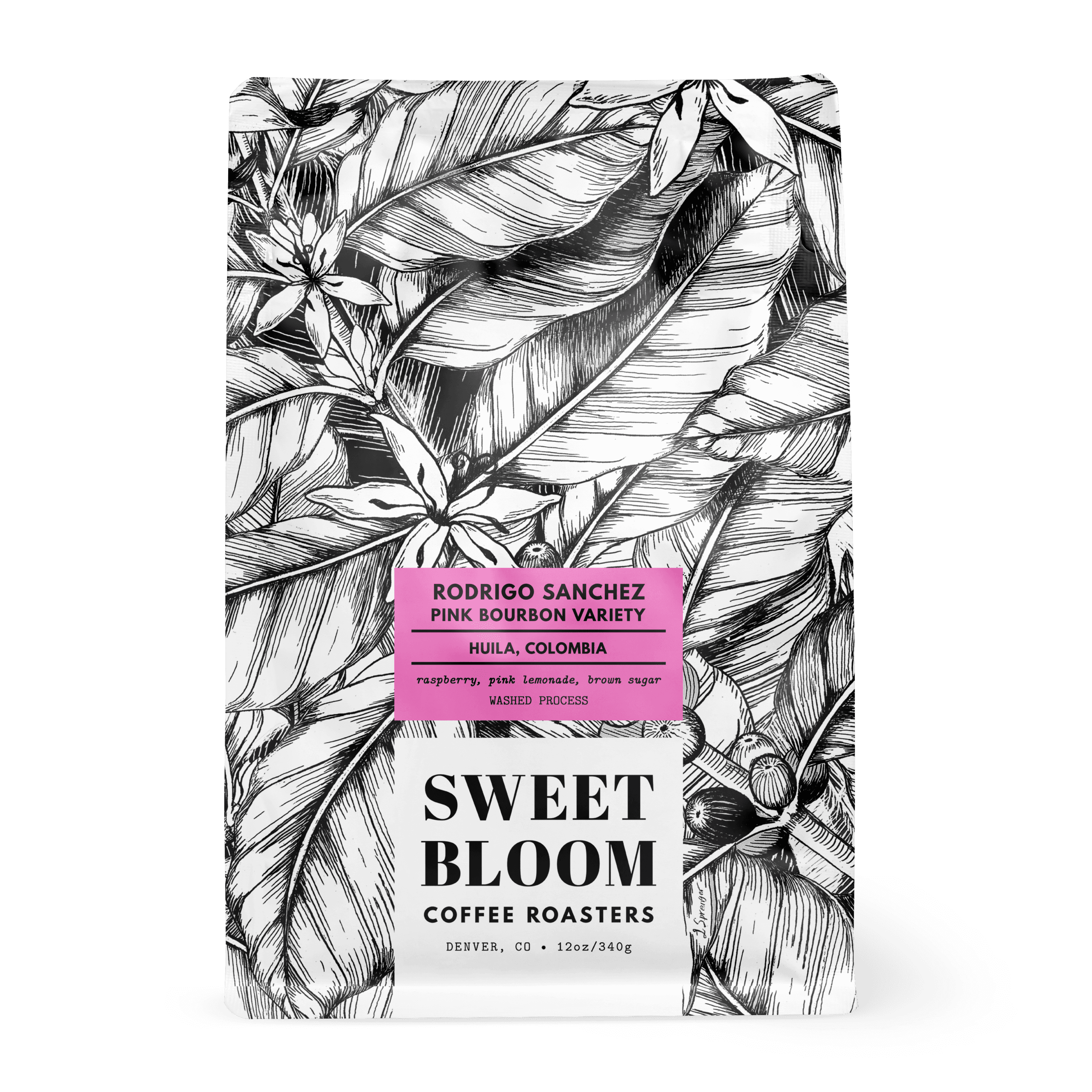 Image of Rodrigo Sanchez