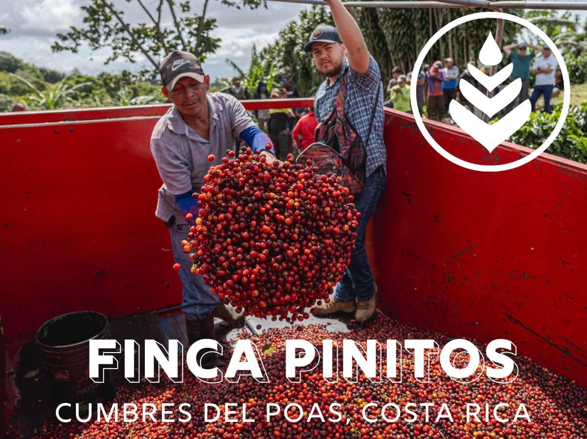 Image of Finca Pinitos