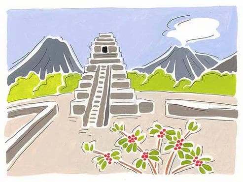 Image of Guatemalan Monte Rosa