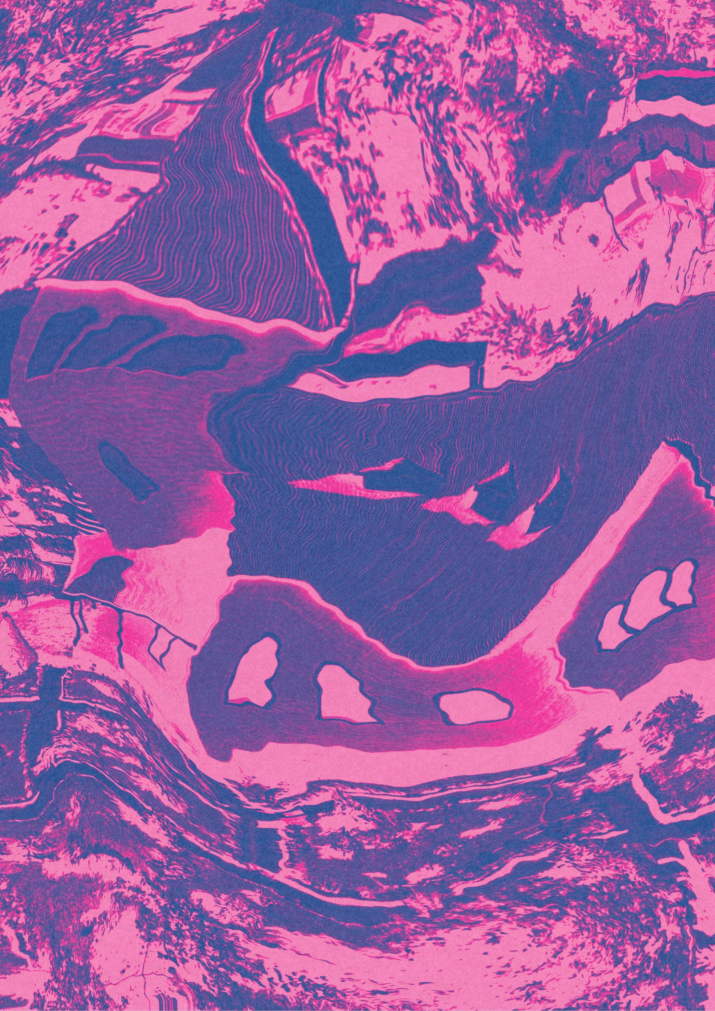 Image of Aquiares Estate Caturra 