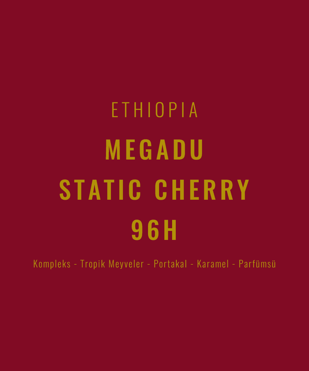 Image of Ethiopia - Megadu Static Cherry 96H