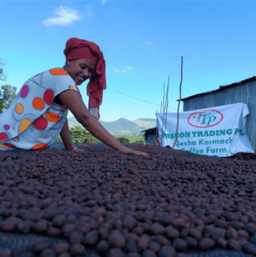 Image of Ethiopia Karmachi Gori Gesha CM Natural