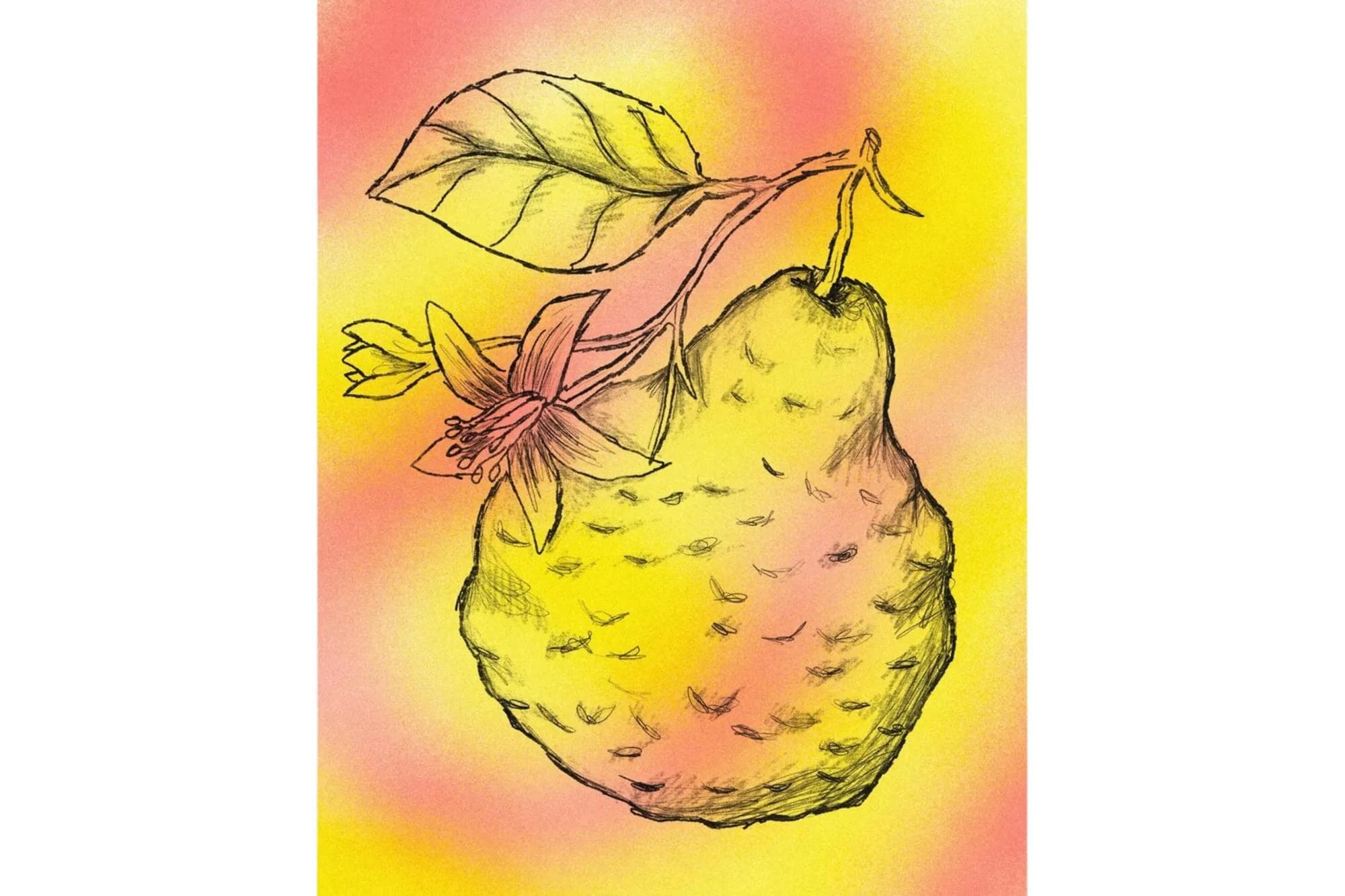 Image of Tomas Ganamo Ethiopia