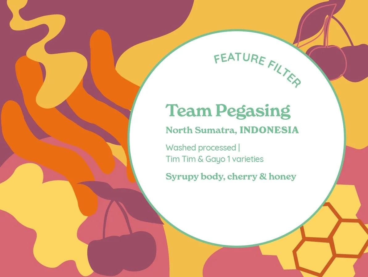 Image of Team Pegasing Washed