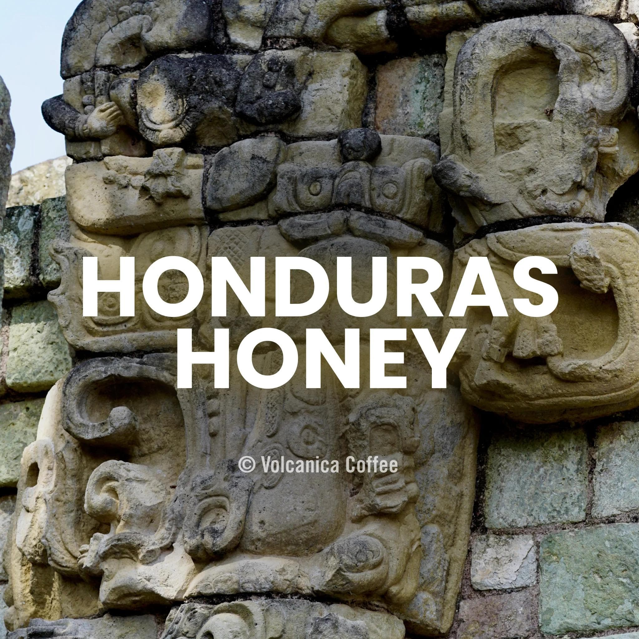 Image of Honduras Coffee Copan Honey Process