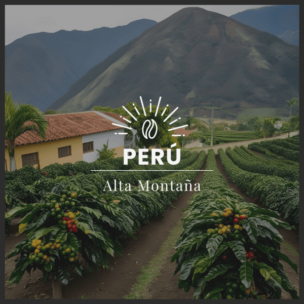 Image of HIGH MOUNTAINS - PERU