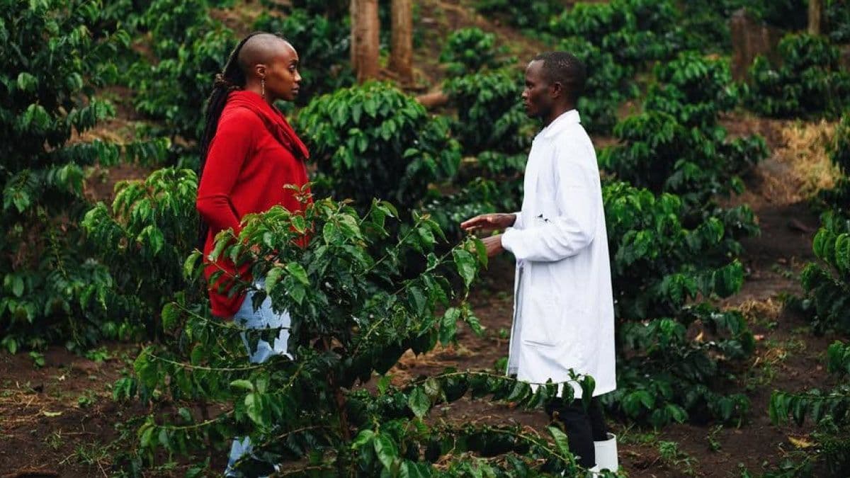 Image of Kenya Lamaiywet AA